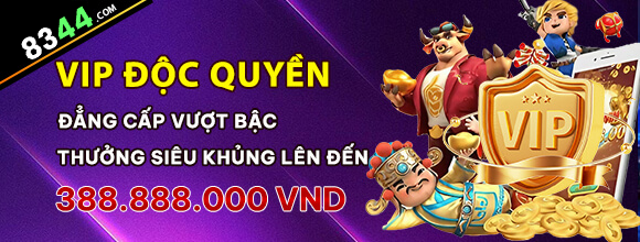 Hình ảnh quảng cáo của ta28 hiển thị nền tảng và các lợi ích